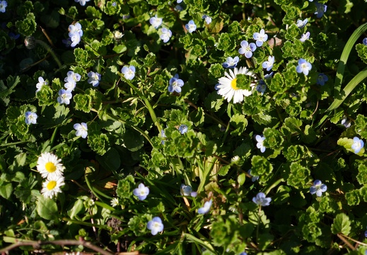 Frühling