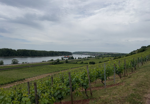 Familientreffen_2026